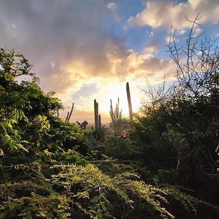 Saint Joris A Tiny Boutique Resort วิลเลมสตัด ภายนอก รูปภาพ