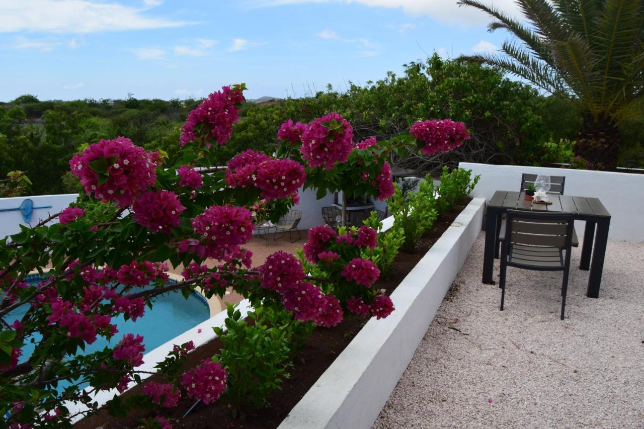Saint Joris A Tiny Boutique Resort วิลเลมสตัด ภายนอก รูปภาพ