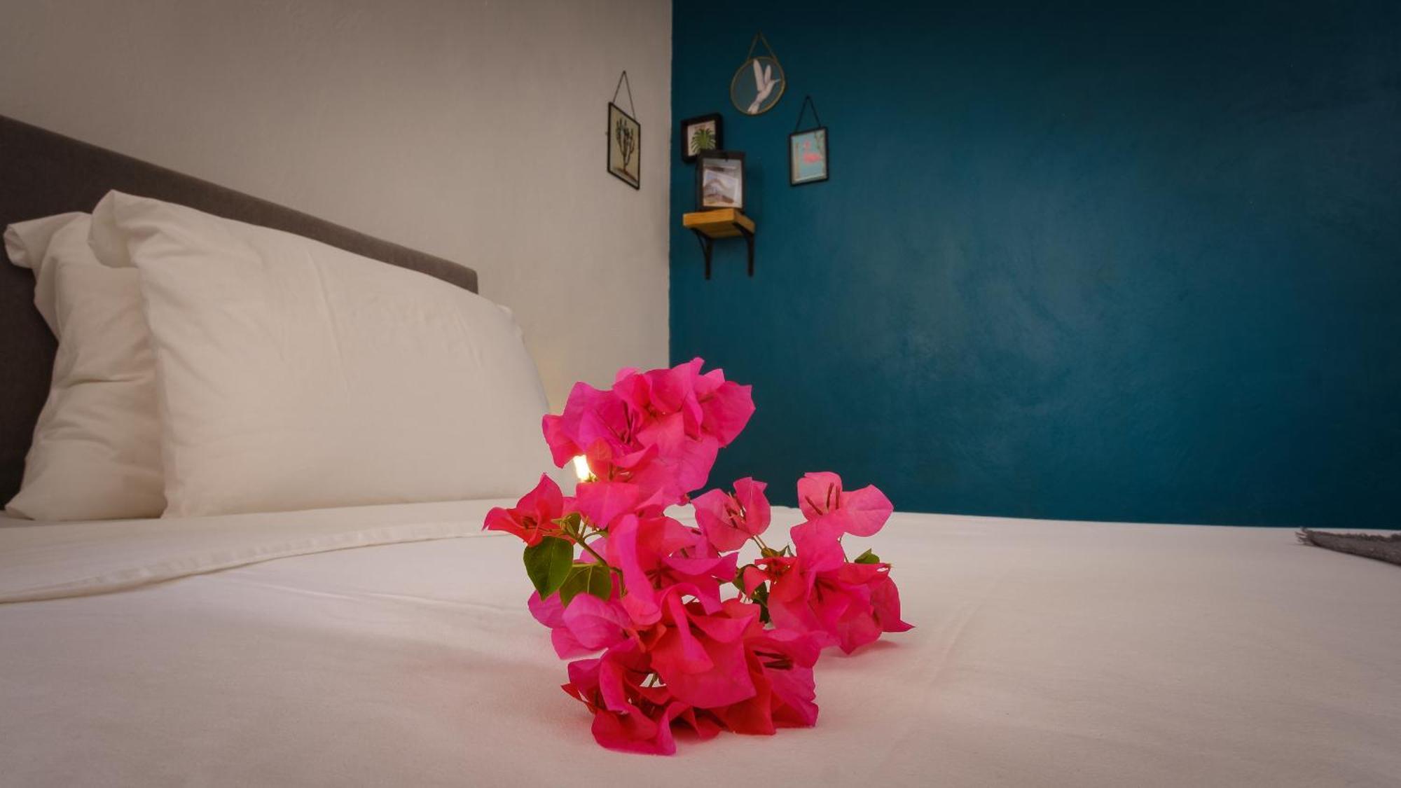 Saint Joris A Tiny Boutique Resort วิลเลมสตัด ภายนอก รูปภาพ